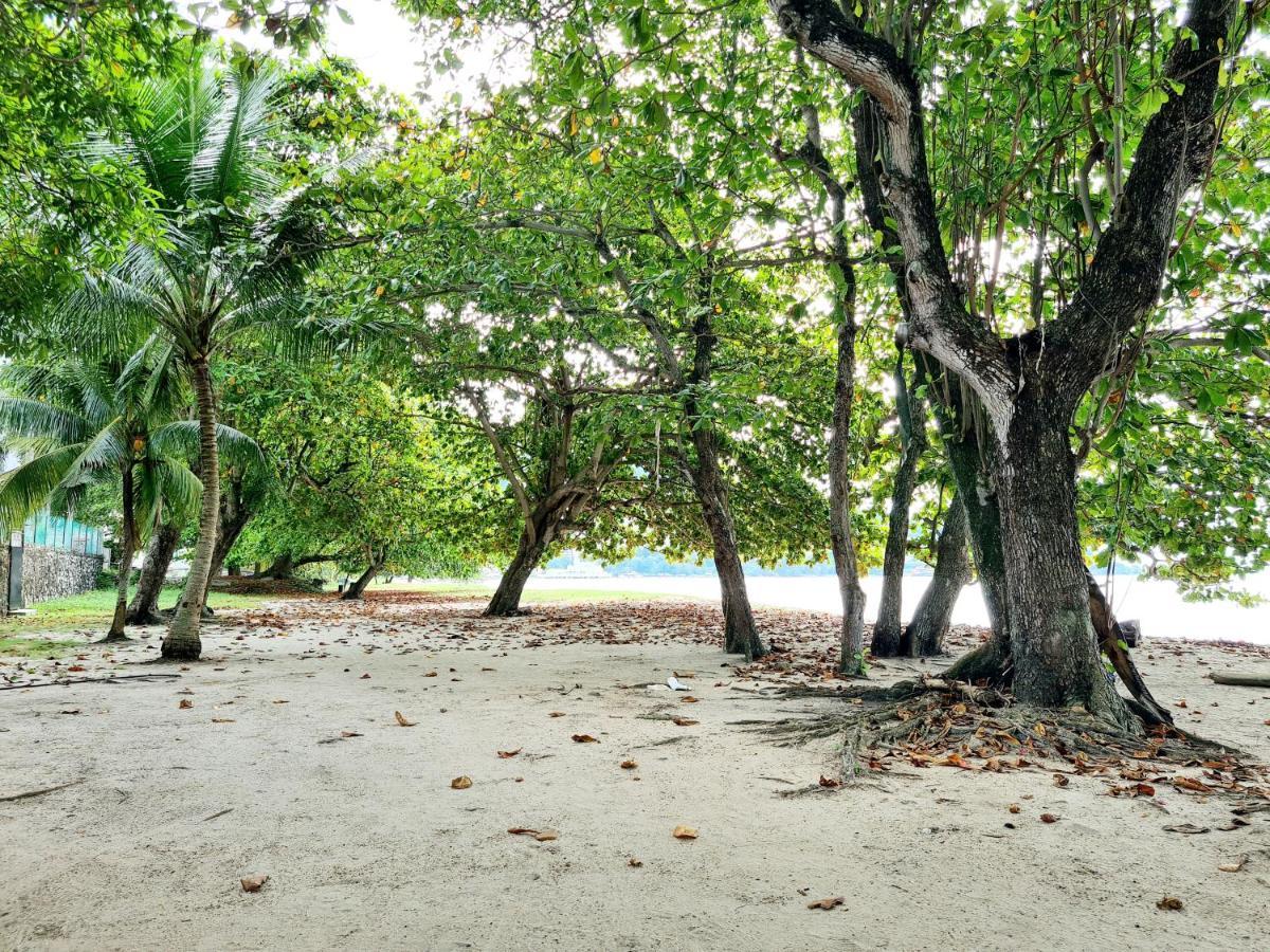 527 Beachhouse L 5 Bedroom With Swimming Pool - 3Min Walk To The Beach Tanjung Bungah  Εξωτερικό φωτογραφία